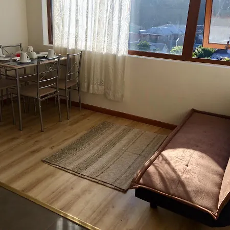 Departamento Don Francisco: Céntrico Apartamento en Tomé Exterior photo